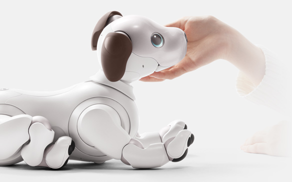 癒しのリハビリテーション ～Aibo(犬型ロボット)の活用と効果～ | 医療